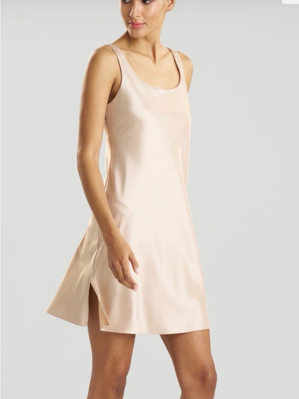 Natori Chemise Slip - BNWT